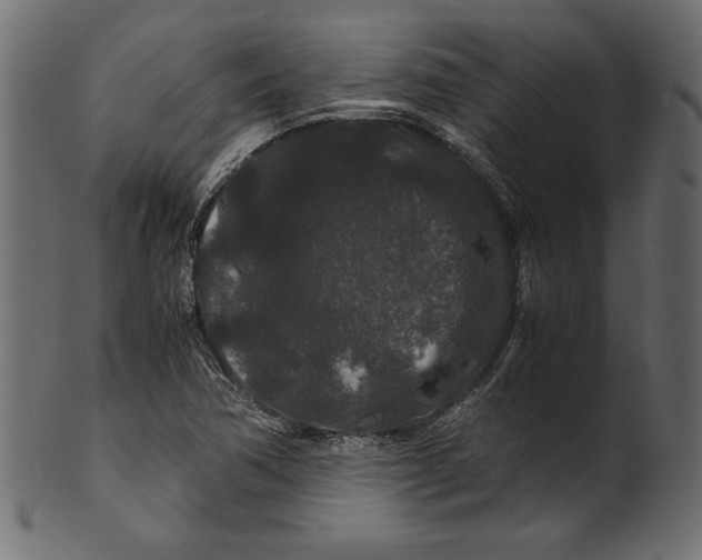 X0000100881362200807181249