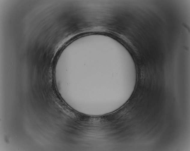 X0000100881364200807181249