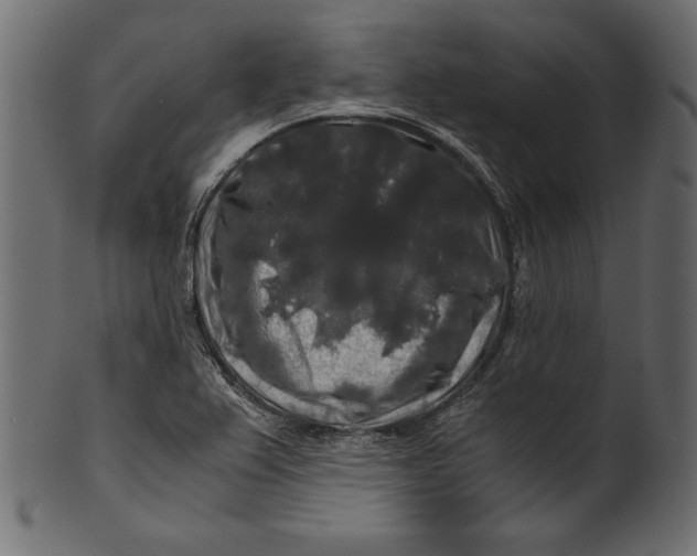 X0000100881367200807181249