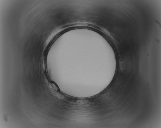 X0000100881368200807181249