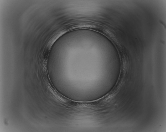 X0000100881369200807181249