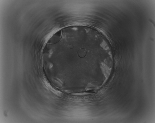 X0000100881371200807181249