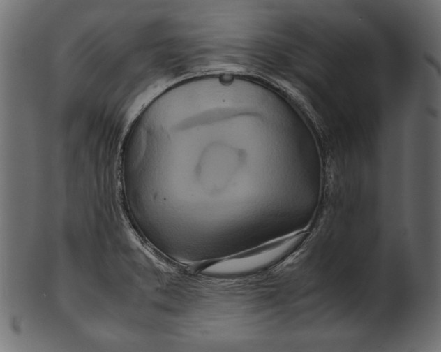 X0000100881373200807181249