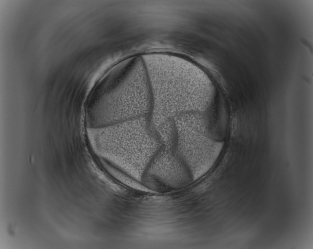 X0000100881374200807181249