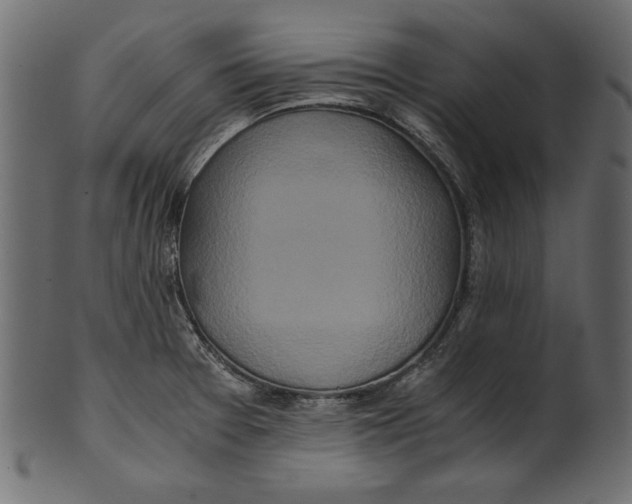 X0000100881377200807181249