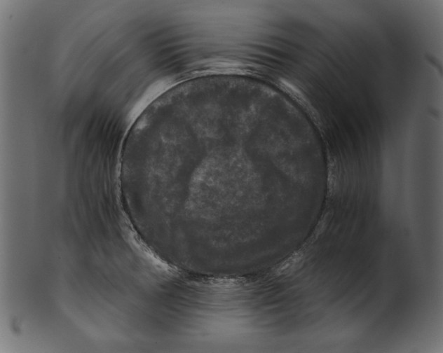 X0000100881378200807181249