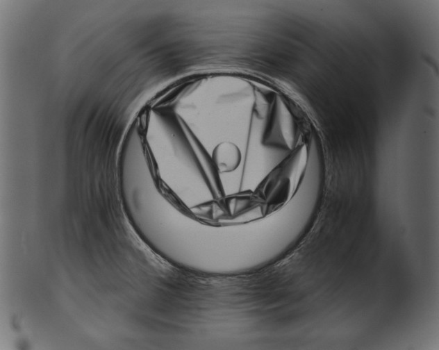 X0000100881380200807181249