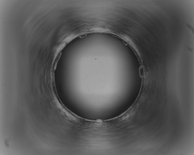 X0000100881381200807181249