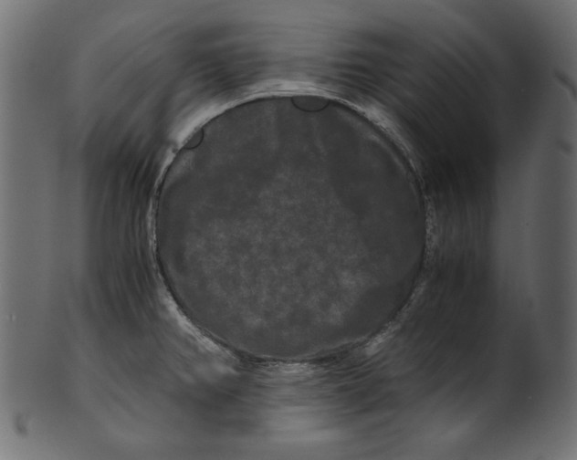 X0000100881382200807181249