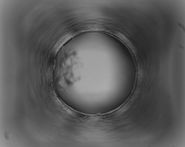 X0000100881385200807181249