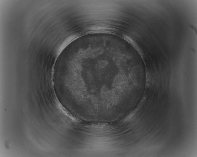 X0000100881386200807181249