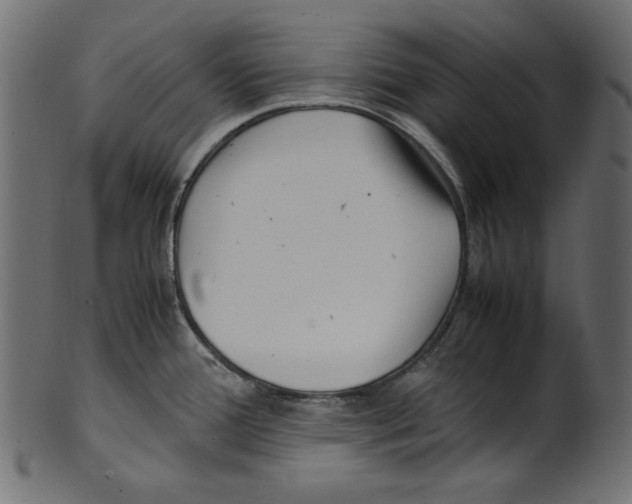 X0000100881388200807181249