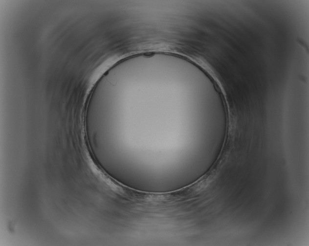 X0000100881389200807181249