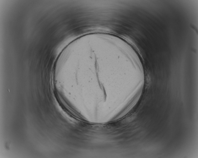 X0000100881391200807181249