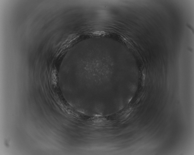 X0000100881394200807181248