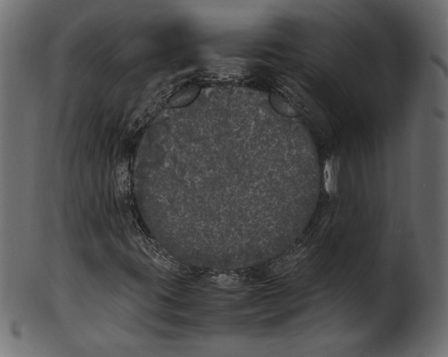 X0000100881395200807181248