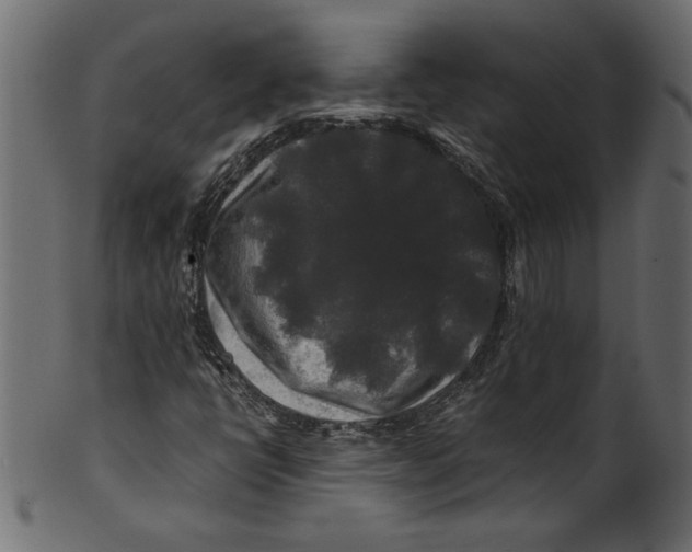 X0000100881398200807181248