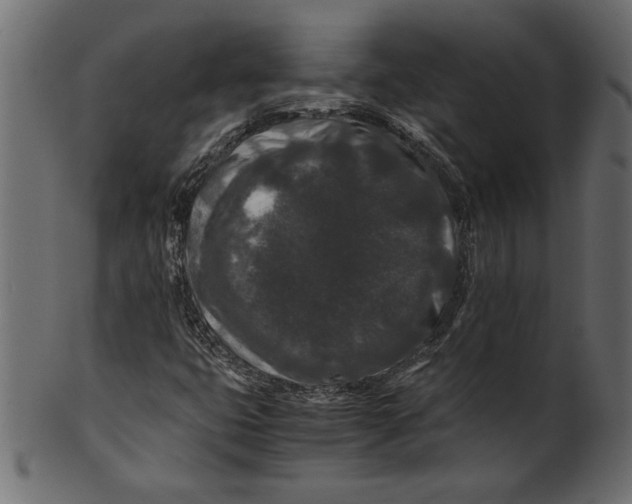 X0000100881399200807181248