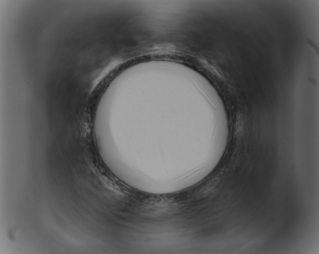 X0000100881400200807181248