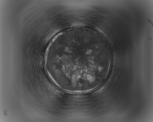 X0000100881401200807181248