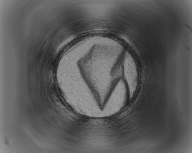 X0000100881402200807181248