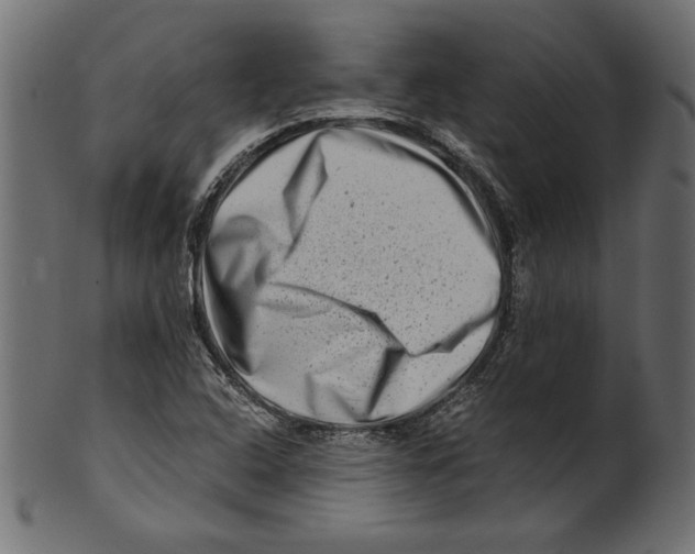 X0000100881408200807181248