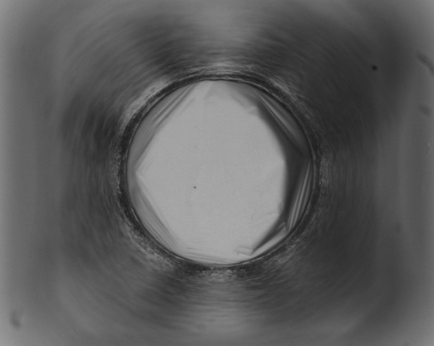 X0000100881410200807181248