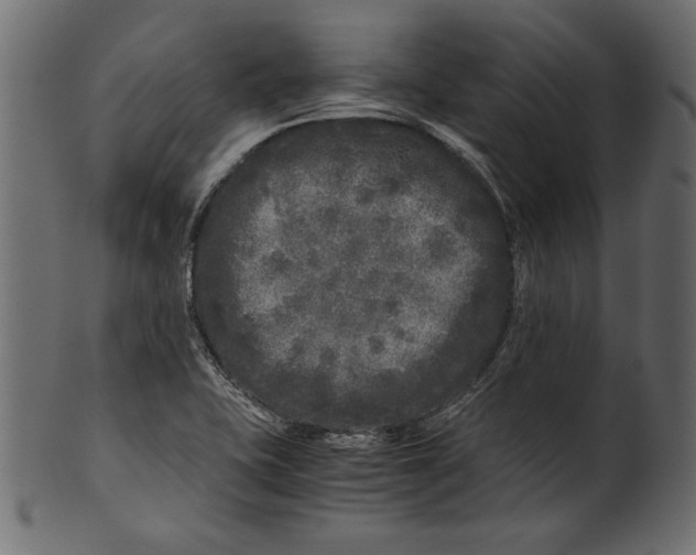 X0000100881415200807181248