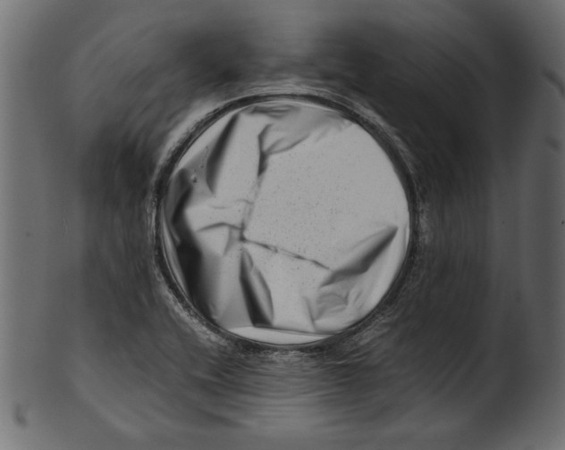 X0000100881416200807181248