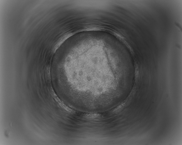 X0000100881417200807181248