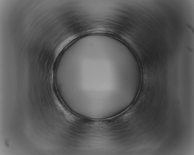 X0000100881418200807181248