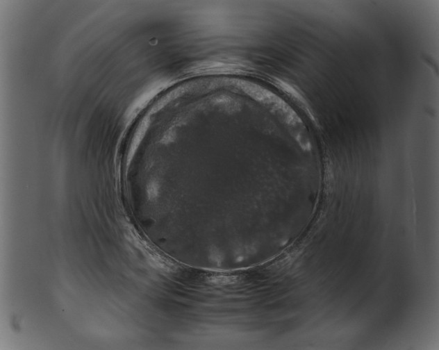 X0000100881419200807181249