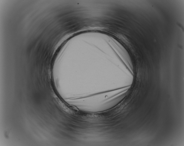 X0000100881420200807181249