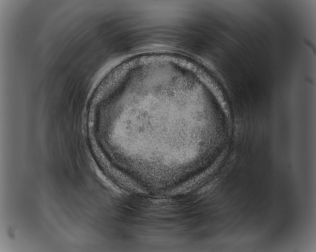 X0000100881421200807181249