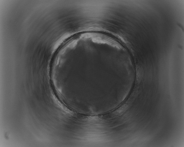 X0000100881422200807181249