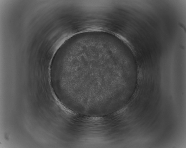 X0000100881423200807181249