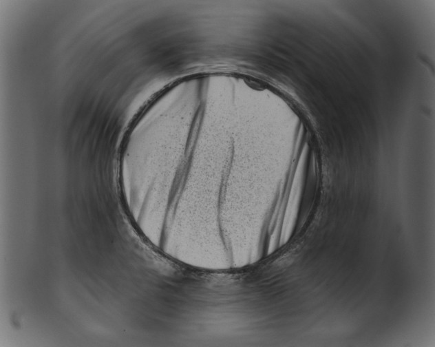 X0000100881424200807181249