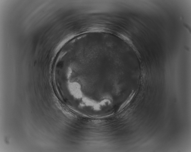 X0000100881427200807181249