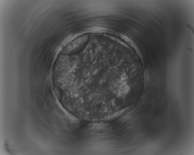 X0000100881429200807181249