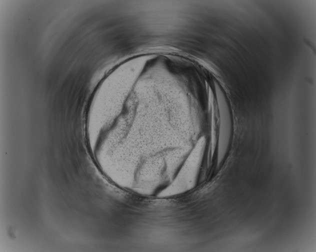 X0000100881430200807181249