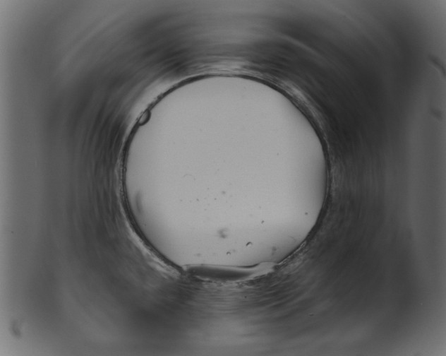 X0000100881432200807181249