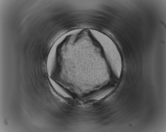 X0000100881433200807181249