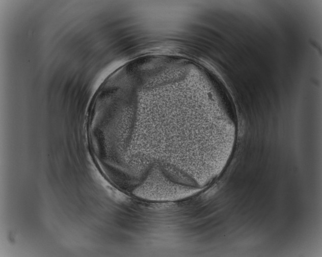 X0000100881434200807181249