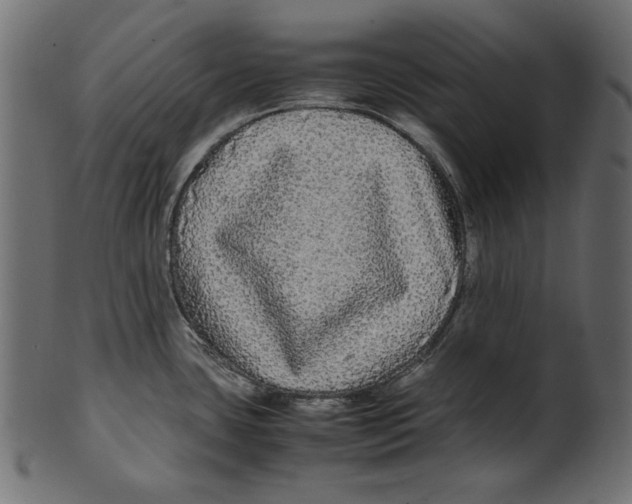 X0000100881435200807181249