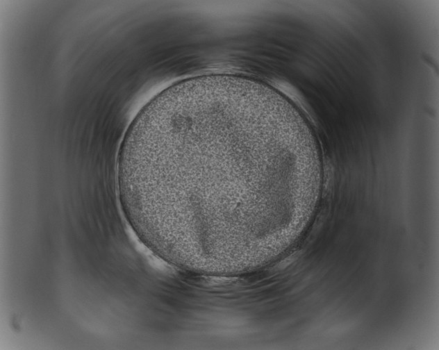 X0000100881439200807181249