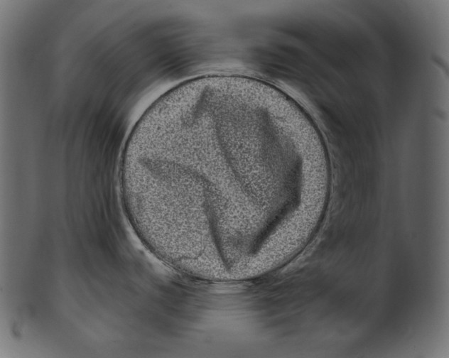 X0000100881440200807181249