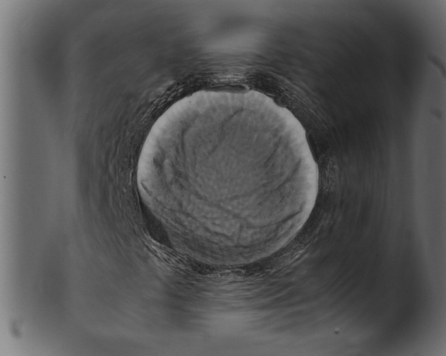 X0000100881441200807181248