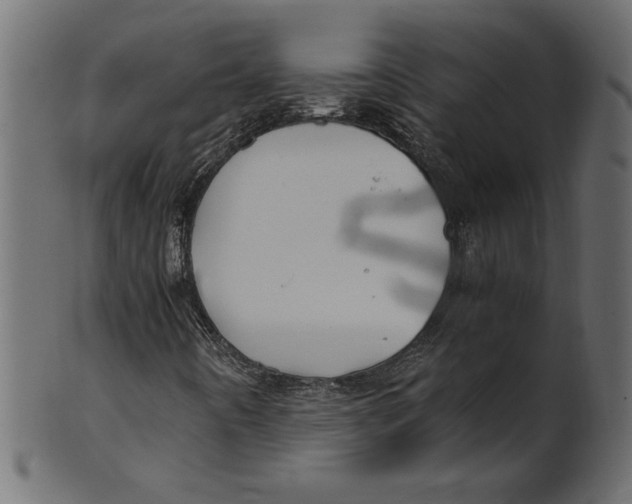 X0000100881442200807181248