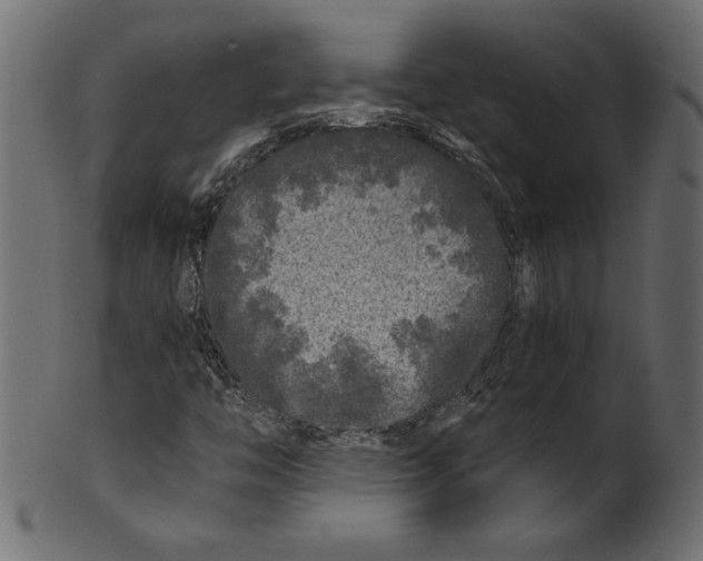 X0000100881446200807181248