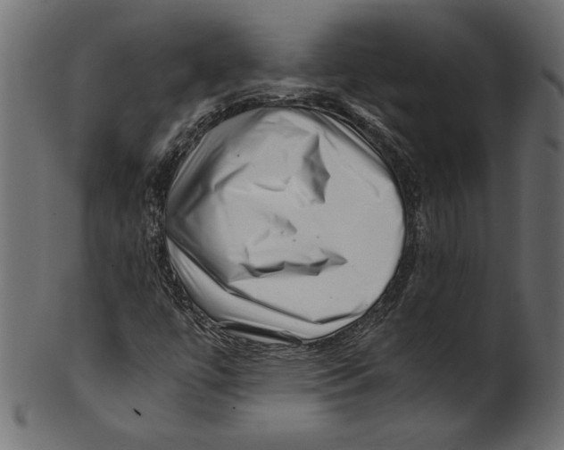 X0000100881447200807181248